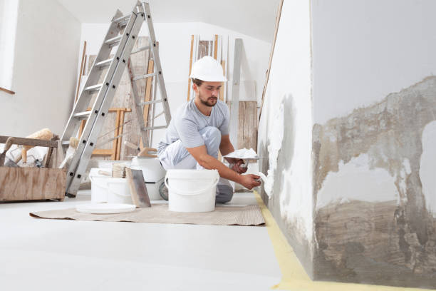 Best Drywall Removal and Disposal  in New Holstein, WI